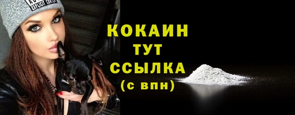 хмурый Касимов