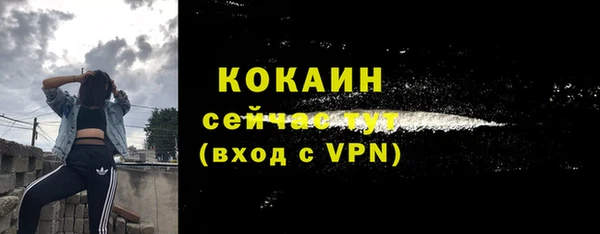 тгк Карпинск