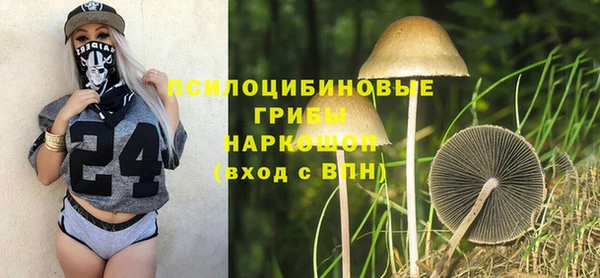 тгк Карпинск