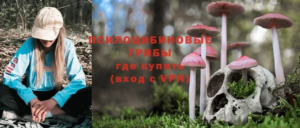 хмурый Касимов