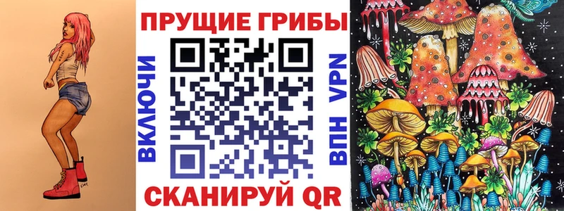 Псилоцибиновые грибы мицелий Камызяк